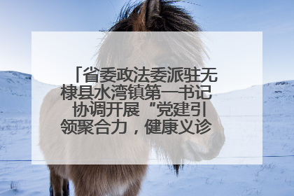 省委政法委派驻无棣县水湾镇第一书记 协调开展“党建引领聚合力，健康义诊惠乡亲”义诊活动