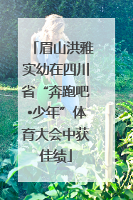 眉山洪雅实幼在四川省“奔跑吧•少年”体育大会中获佳绩