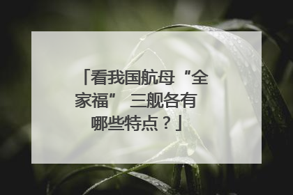 看我国航母“全家福” 三舰各有哪些特点？