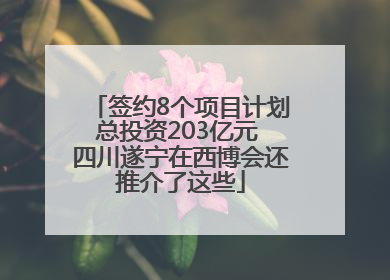 签约8个项目计划总投资203亿元 四川遂宁在西博会还推介了这些
