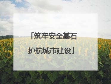 筑牢安全基石 护航城市建设