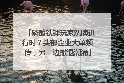 磷酸铁锂玩家洗牌进行时？头部企业大单频传，另一边撤退潮涌
