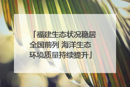 福建生态状况稳居全国前列 海洋生态环境质量持续提升