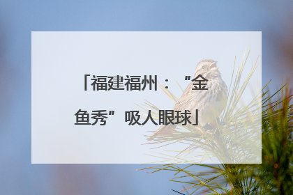 福建福州：“金鱼秀”吸人眼球