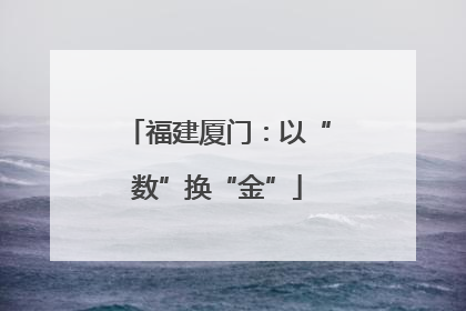 福建厦门：以“数”换“金”
