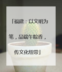 福建：以文明为笔，品端午粽香，传文化纽带