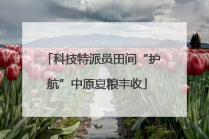 科技特派员田间“护航”中原夏粮丰收
