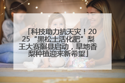 科技助力抗天灾！2025“黑松土活化肥”梨王大赛隰县启动，旱地香梨种植迎来新希望