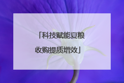 科技赋能夏粮收购提质增效