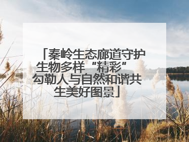 秦岭生态廊道守护生物多样“精彩” 勾勒人与自然和谐共生美好图景