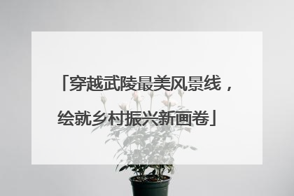 穿越武陵最美风景线，绘就乡村振兴新画卷