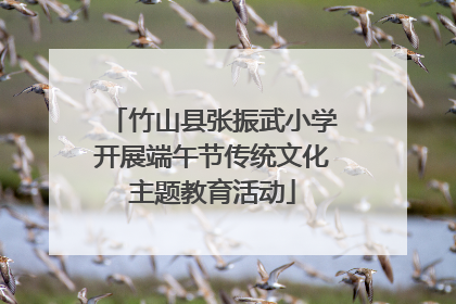 竹山县张振武小学开展端午节传统文化主题教育活动
