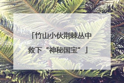 竹山小伙荆棘丛中救下“神秘国宝”