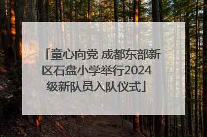 童心向党 成都东部新区石盘小学举行2024级新队员入队仪式