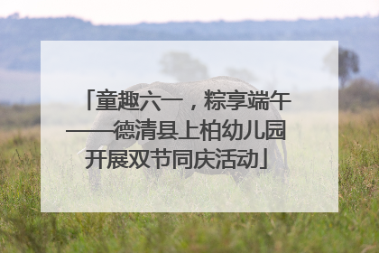 童趣六一，粽享端午——德清县上柏幼儿园开展双节同庆活动