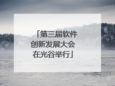 第三届软件创新发展大会在光谷举行