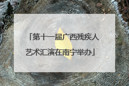 第十一届广西残疾人艺术汇演在南宁举办