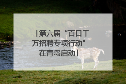 第六届“百日千万招聘专项行动”在青岛启动
