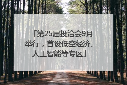第25届投洽会9月举行，首设低空经济、人工智能等专区