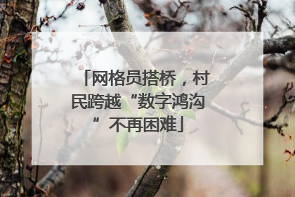 网格员搭桥，村民跨越“数字鸿沟”不再困难