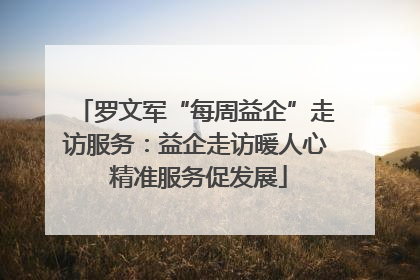 罗文军“每周益企”走访服务：益企走访暖人心 精准服务促发展