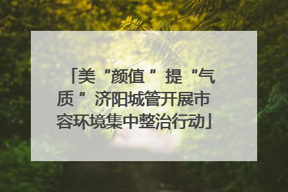 美“颜值 ”提“气质 ”济阳城管开展市容环境集中整治行动