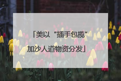 美以“插手包揽”加沙人道物资分发