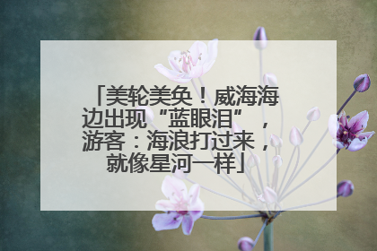 美轮美奂！威海海边出现“蓝眼泪”，游客：海浪打过来，就像星河一样