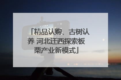 精品认购、古树认养 河北迁西探索板栗产业新模式