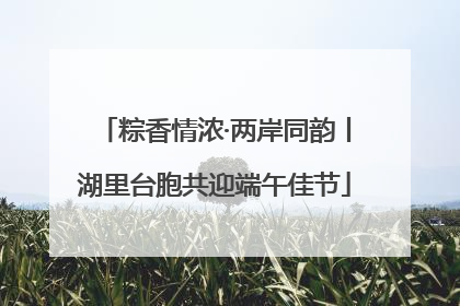 粽香情浓·两岸同韵丨湖里台胞共迎端午佳节