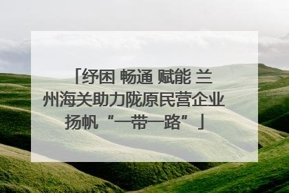 纾困 畅通 赋能 兰州海关助力陇原民营企业扬帆“一带一路”