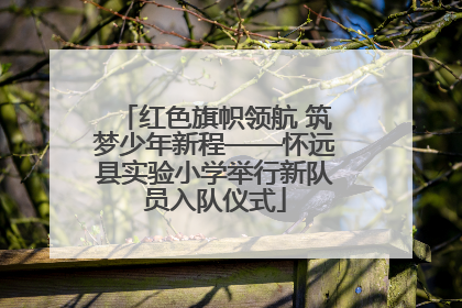 红色旗帜领航 筑梦少年新程——怀远县实验小学举行新队员入队仪式