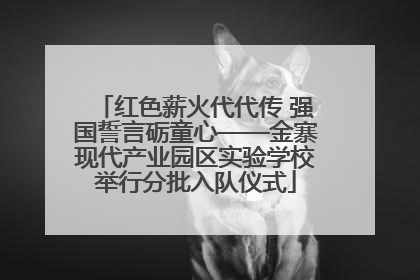 红色薪火代代传 强国誓言砺童心——金寨现代产业园区实验学校举行分批入队仪式
