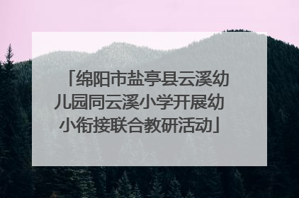 绵阳市盐亭县云溪幼儿园同云溪小学开展幼小衔接联合教研活动