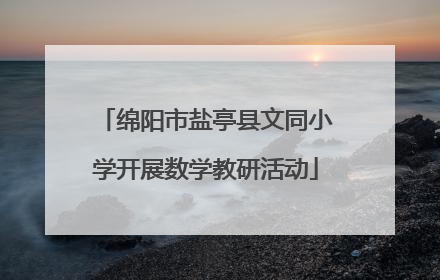 绵阳市盐亭县文同小学开展数学教研活动