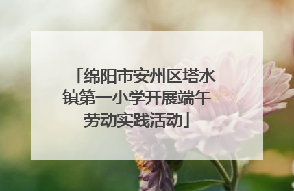 绵阳市安州区塔水镇第一小学开展端午劳动实践活动