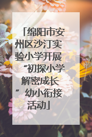绵阳市安州区沙汀实验小学开展“初探小学 解密成长”幼小衔接活动