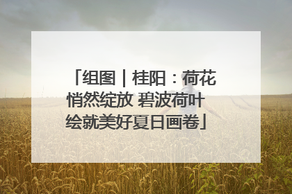 组图｜桂阳：荷花悄然绽放 碧波荷叶绘就美好夏日画卷