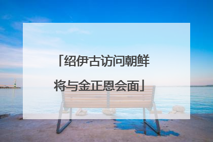 绍伊古访问朝鲜 将与金正恩会面