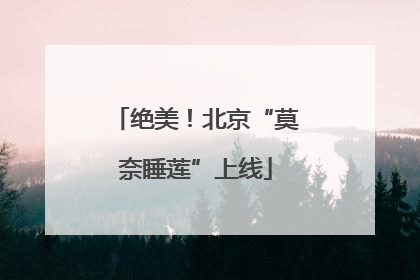 绝美！北京“莫奈睡莲”上线