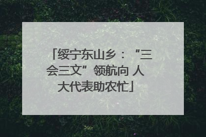 绥宁东山乡：“三会三文”领航向 人大代表助农忙