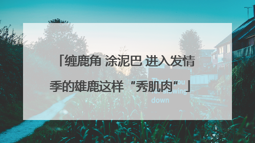 缠鹿角 涂泥巴 进入发情季的雄鹿这样“秀肌肉”