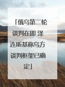 俄乌第二轮谈判在即 泽连斯基称乌方谈判框架已确定