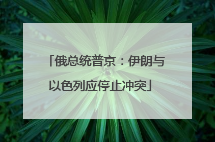 俄总统普京：伊朗与以色列应停止冲突