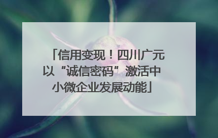 信用变现！四川广元以“诚信密码”激活中小微企业发展动能