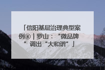 信阳基层治理典型案例⑧｜罗山：“微品牌”调出“大和谐”