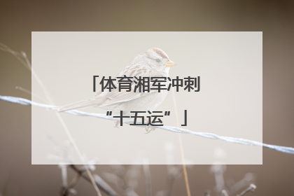 体育湘军冲刺“十五运”