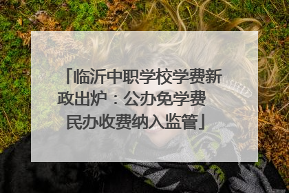 临沂中职学校学费新政出炉：公办免学费 民办收费纳入监管
