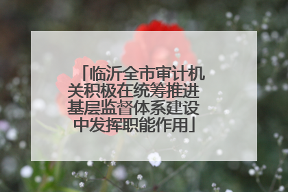 临沂全市审计机关积极在统筹推进基层监督体系建设中发挥职能作用