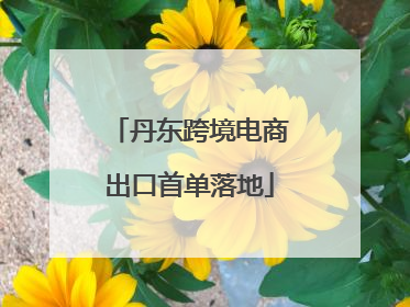 丹东跨境电商出口首单落地